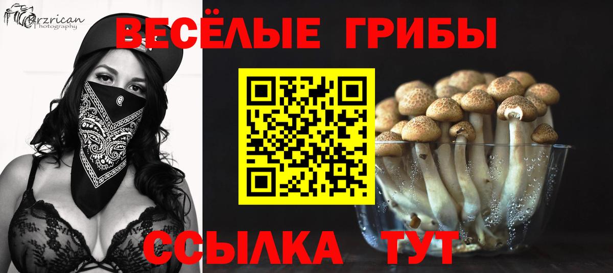 Жигулёвск  Галлюциногенные грибы мицелий  Галлюциногенные грибы прущие грибы  Вход с VPN 